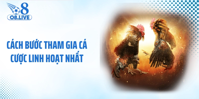 Cách bước tham gia cá cược linh hoạt nhất