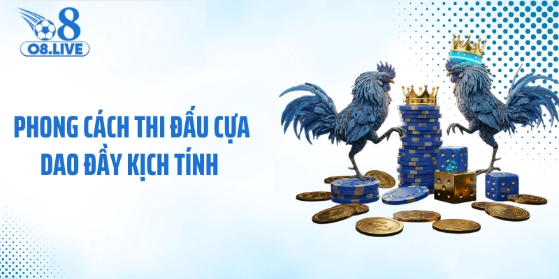 Phong cách thi đấu cựa dao đầy kịch tính