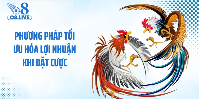 Phương pháp tối ưu hóa lợi nhuận khi đặt cược